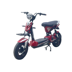 Xe Đạp Điện Nike Bike Q21