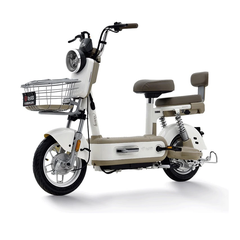 Xe đạp điện TAILG VICTORY