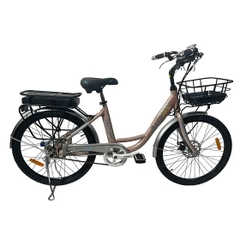 Xe Đạp Trợ Lực Điện Sallway Lady