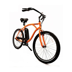 Xe đạp trợ lực Hurley Layback