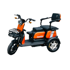 Xe Điện 3 Bánh Santong Pro