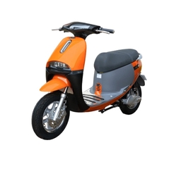 Xe Máy Điện Dk Gogo New S