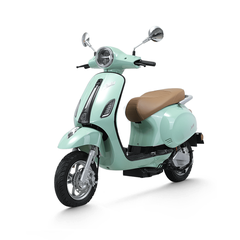 Xe Máy Điện Tailg R51