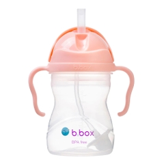 Bình Tập Uống B Box Sippy Cup 240Ml (6M+)