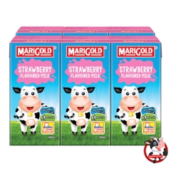 Sữa tươi Marigold, THÙNG 8 lốc 24 hộp, 200ml - Lốc 3 hộp