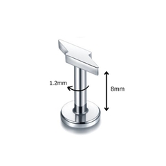 Bông tai sấm sét thép không gỉ 316L, màu bạc - 2 size