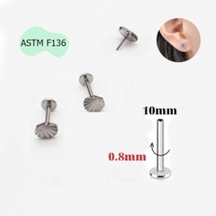 SCALLOP EARRING - TITANIUM