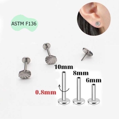 SCALLOP EARRING - TITANIUM