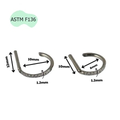 Khuyên tai chữ D giả vòng có đính đá - 2 size - Titan F136