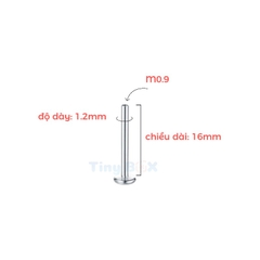 Thân khuyên Titanium (màu bạc, vàng) đầy đủ size