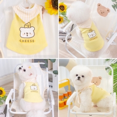 Áo lưới vàng khăn tam giác kẻ sọc gấu cheese