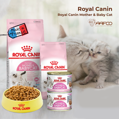 Thức ăn mèo Royal canin Mother & Baby 2kg