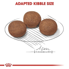 Thức ăn Royal Canin Medium Puppy 1Kg