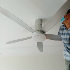 Quạt trần Panasonic F60UFN - 5 cánh, có đèn