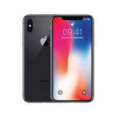 iPhone X 256GB