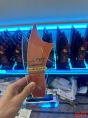 Cúp Pha Lê In Logo – Giải Pháp Quà Tặng Vinh Danh Cho Doanh Nghiệp