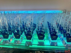 Cúp Pha Lê In Logo – Giải Pháp Quà Tặng Vinh Danh Cho Doanh Nghiệp