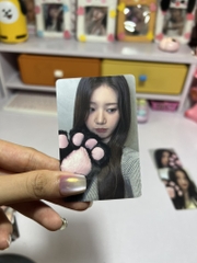 Photocard BABYMONSTER Rose Day Lucky Draw Event - Thẻ ảnh bo góc Babymonster