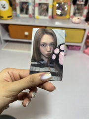 Photocard BABYMONSTER Rose Day Lucky Draw Event - Thẻ ảnh bo góc Babymonster