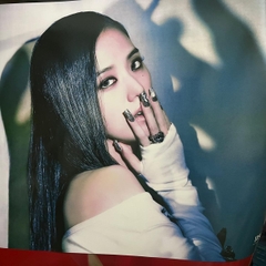 Ảnh BLACKPINK BORN PINK official (Đã gồm ống nhựa gói poster - Poster Born Pink BLACKPINK pre-order official)
