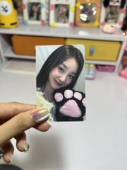 Photocard BABYMONSTER Rose Day Lucky Draw Event - Thẻ ảnh bo góc Babymonster