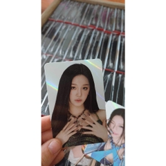 Photocard Babymonster