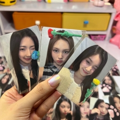 Photocard BABYMONSTER Rose Day - Set hoa