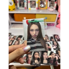 Photocard BABYMONSTER Rose Day - Set hoa