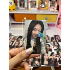 Photocard BABYMONSTER Rose Day - Set hoa