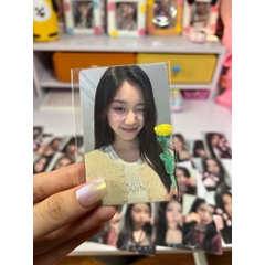 Photocard BABYMONSTER Rose Day - Set hoa