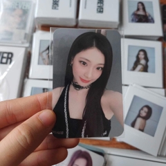 Photocard BABYMONSTER Rose Day - Set hoa