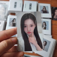 Photocard BABYMONSTER Rose Day - Set hoa