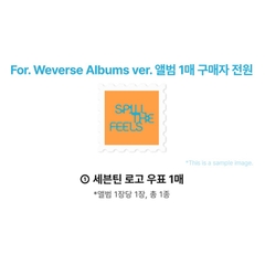 Album Seventeen Spill The Feel