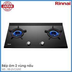 Bếp Gas Âm Rinnai RB-2VCGN