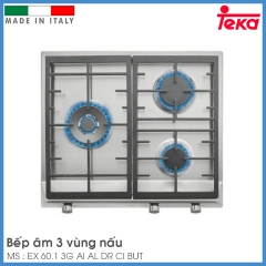 Bếp Gas Âm Teka EX 60.1 3G AI AL DR CI BUT