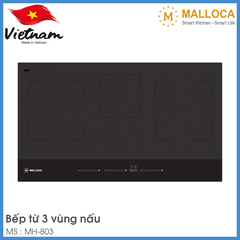 Bếp Từ Skylux Malloca MH-803