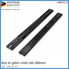 Ray Bi Giảm Chấn 300mm Hafele 494.02.071