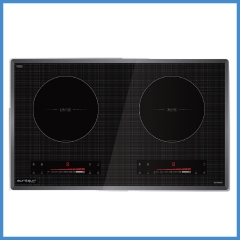 Bếp Từ Âm Eurosun EU-T256Max