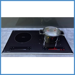 Bếp Từ Âm Eurosun EU-T256Max