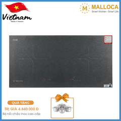Bếp Từ Malloca MH-02IS
