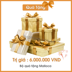 Bếp Từ Skylux Malloca MH-885