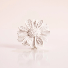 Thạch Cao Khuếch Tán Treo Daisy