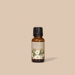 Tinh dầu đậm đặc White Tea (Trà trắng)