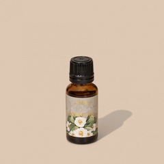 Tinh dầu đậm đặc White Tea (Trà trắng)