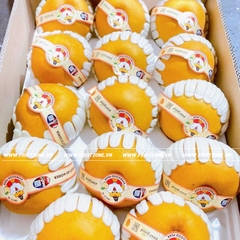 Lê nâu Hàn Quốc (EverGood)