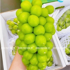 Nho sữa Đài Loan