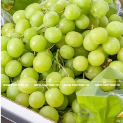 Nho xanh Mỹ