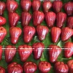 Roi An Phước
