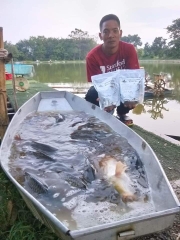 Mồi xả xuân lượng