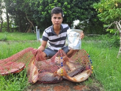 Mồi xả xuân lượng